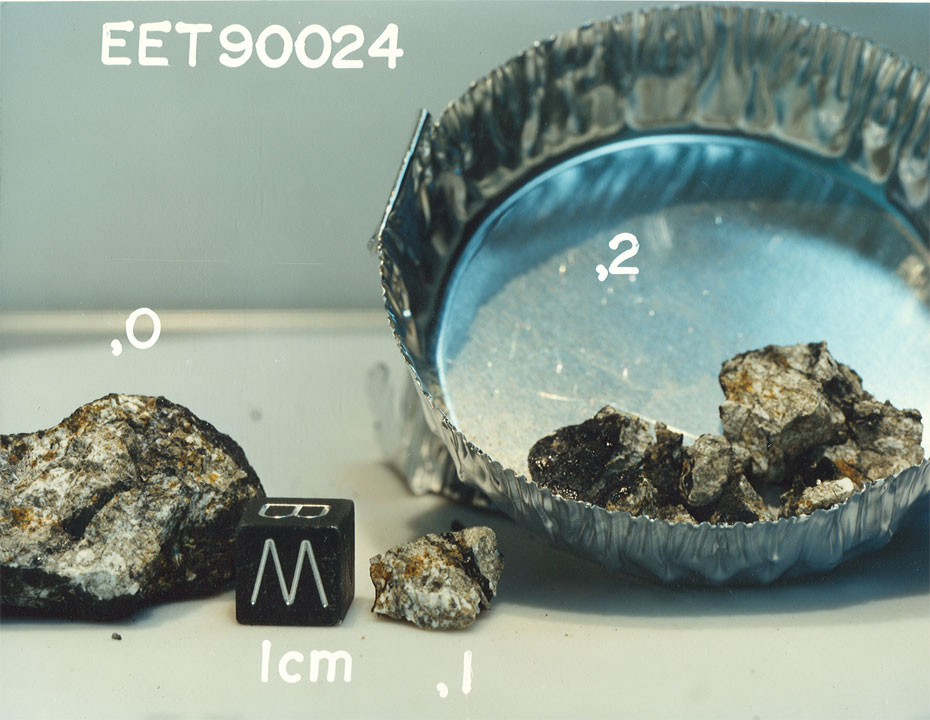 eet90024g.jpg