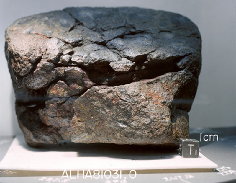 ALHA81031(S82-39570).jpg