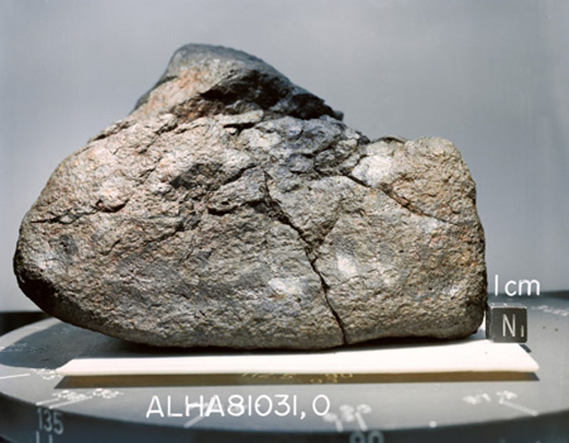 ALHA81031(S82-39572).jpg