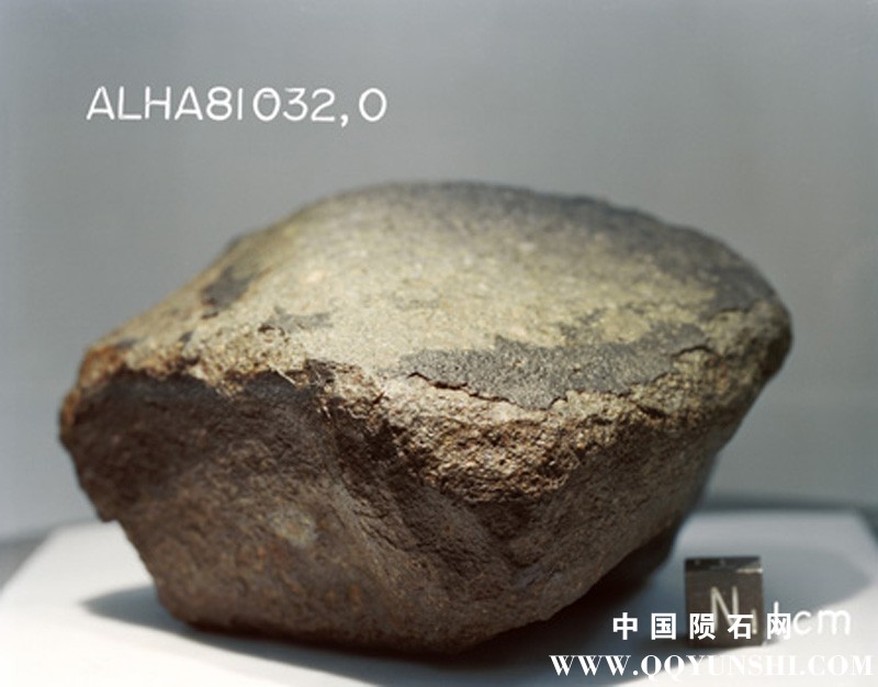 ALHA81032(S82-39959).jpg
