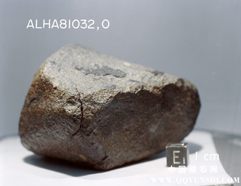 ALHA81032(S82-39960).jpg