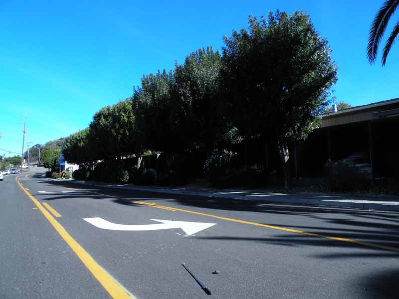 DSCN3326.jpg
