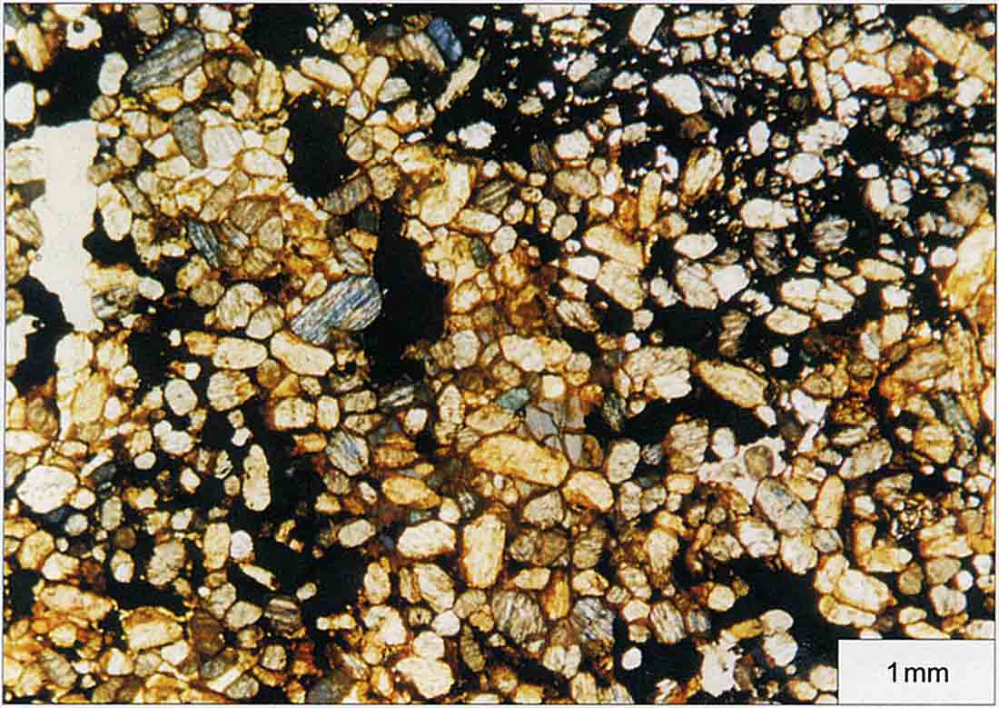 Zakodzie_PG_48_5_2000_mikro.jpg