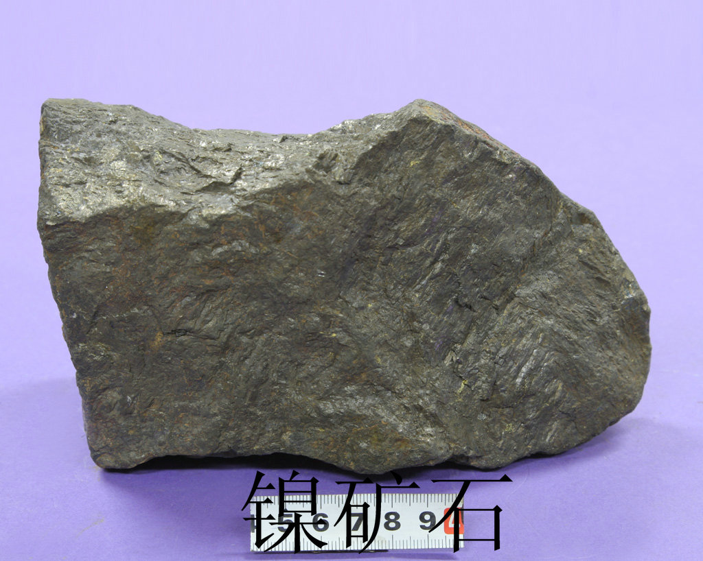 2311C0003400003512_large.jpg