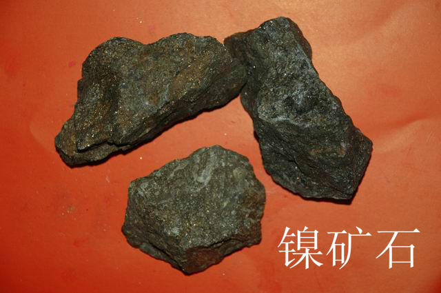 20101122104855216.jpg