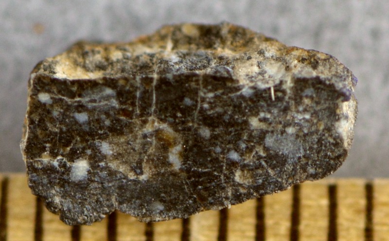 lm_nwa8277_1161m.jpg