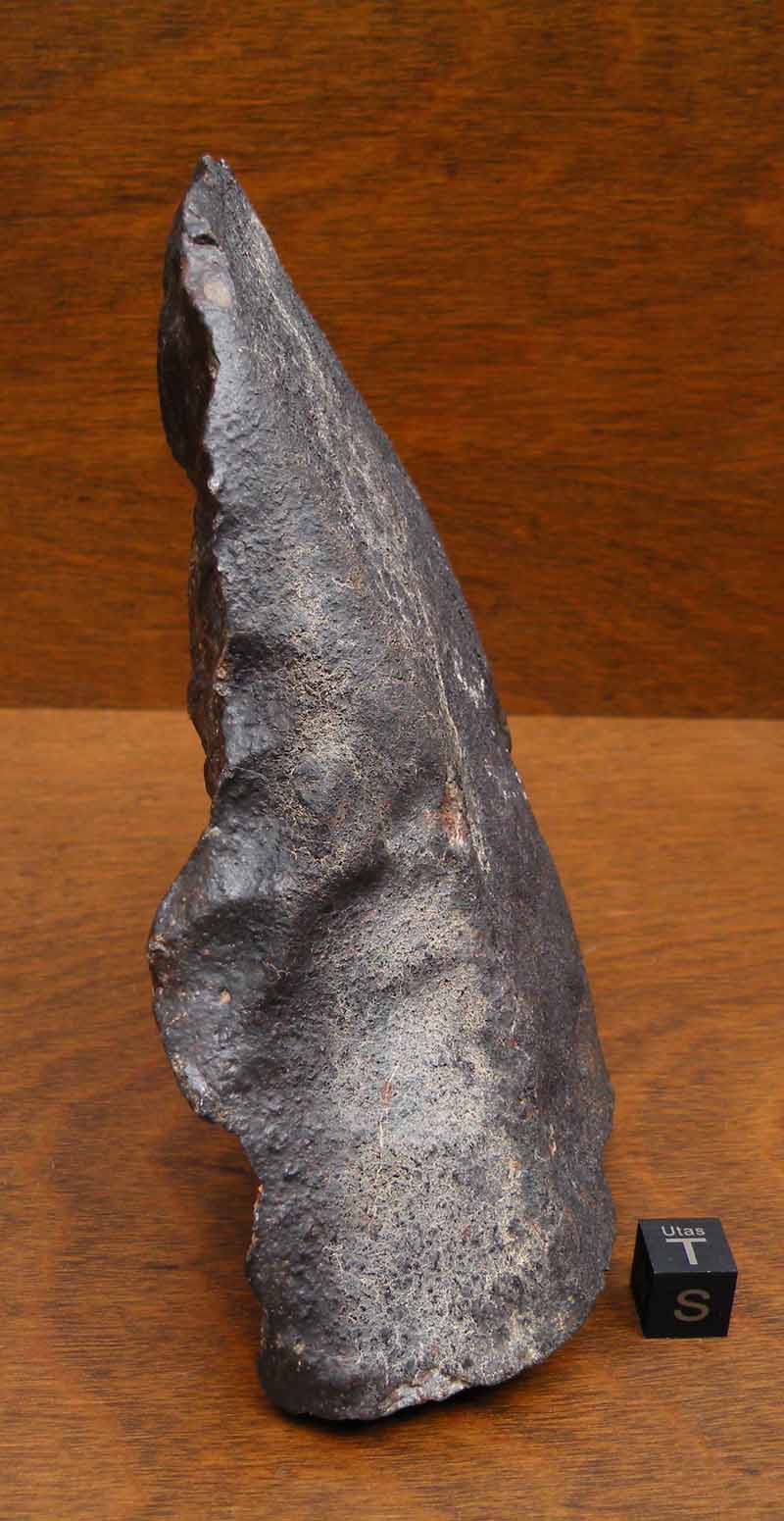 DSCN6438.jpg