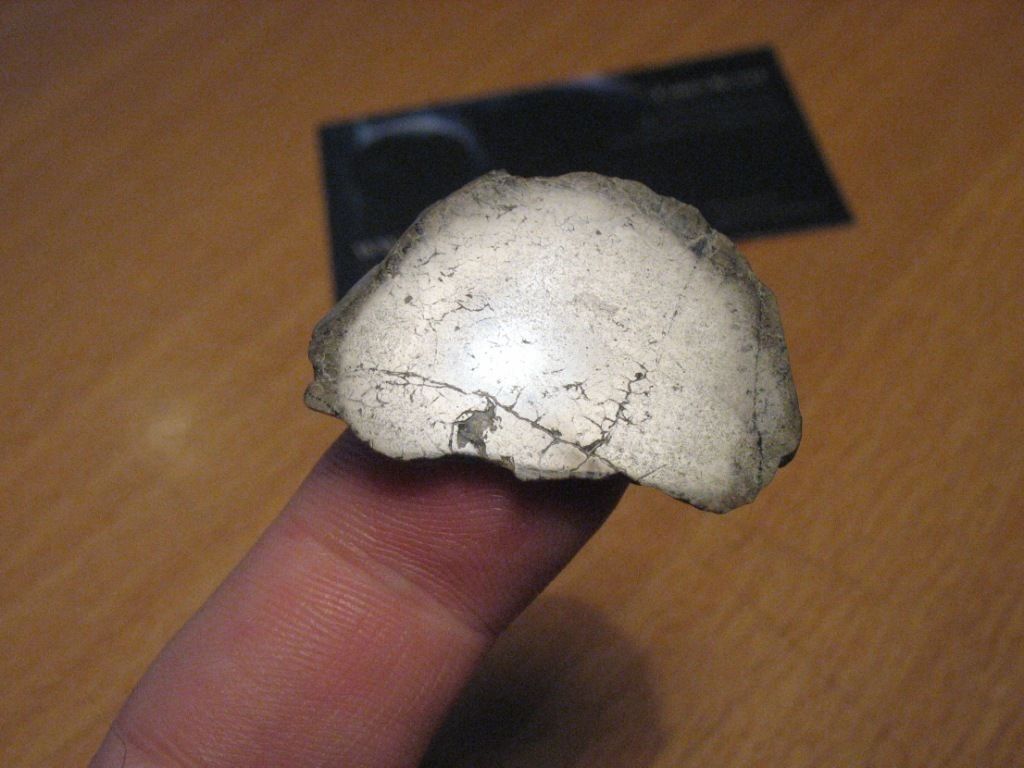nwa5744 1.jpg