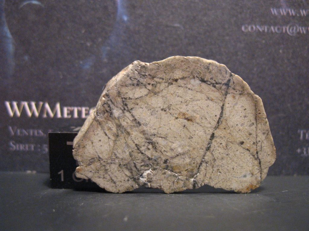 nwa5744 3.jpg