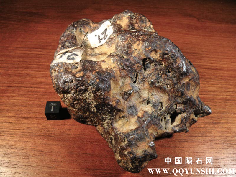DSCN6259.jpg