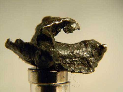 321046974249_5_0_1[1].jpg