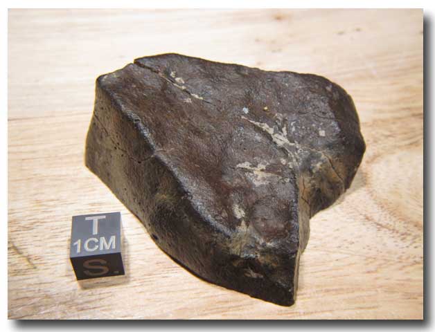 Whole-1[1].jpg