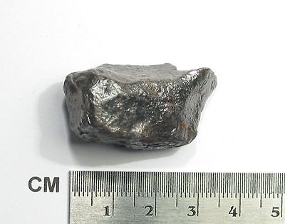 $_1 (1).jpg