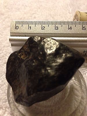 $_1 (1).jpg