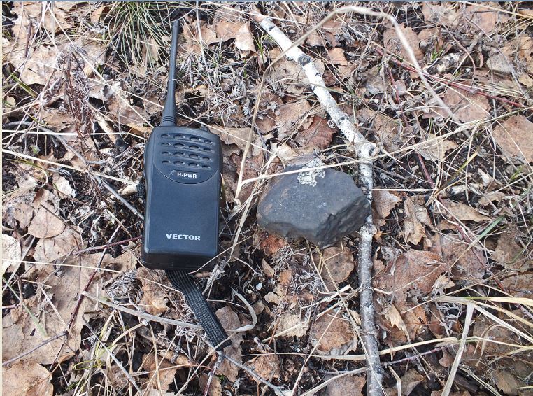 Chelyabinsk_meteorite_find_493g.jpg