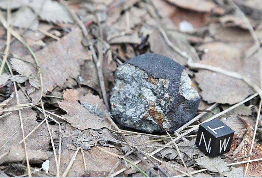 Chelyabinsk_meteorit_49g_in_situ_597.jpg