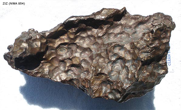 ZIZ iron meteorite NWA 854.jpg