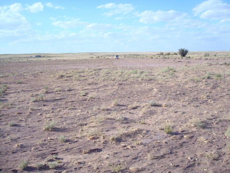 post-26254-0-00009800-1404111100.jpg