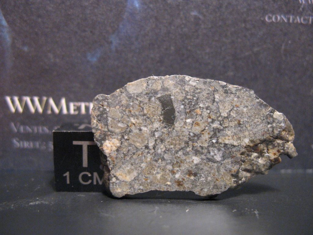 nwa 8455 5.jpg
