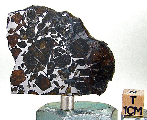 tm1246-B.jpg