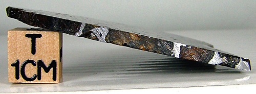 tm1246-C.jpg