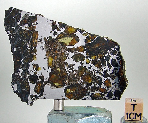 tm1247-B.jpg