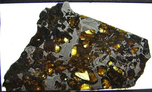 tm1247-C.jpg