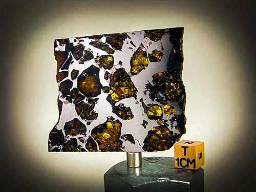 tm1248-B.jpg