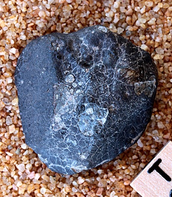 tm1235-B.jpg