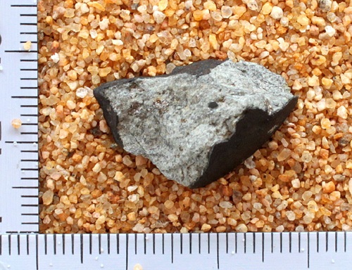 tm1224-B.jpg