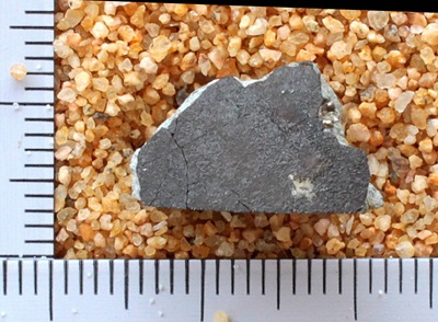tm1224-C.jpg