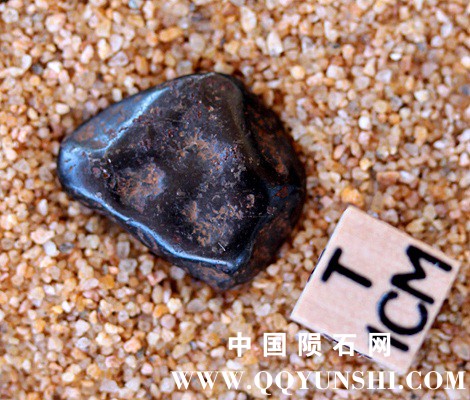 tm1236-A.jpg