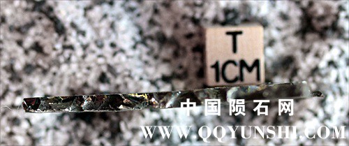 tm1293-B.jpg