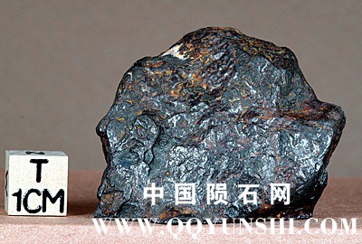 tm1249-D.jpg