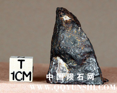 tm1249-E.jpg