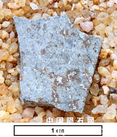 tm1280-B.jpg