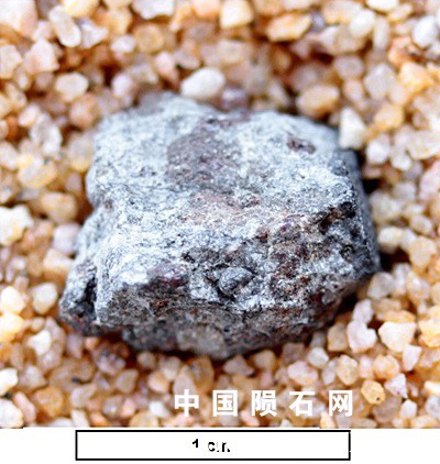 tm1283-A.jpg