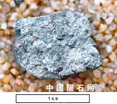 tm1283-B.jpg