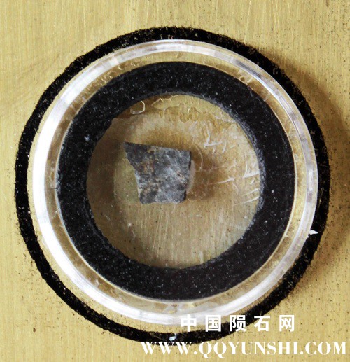 tm1219-C.jpg
