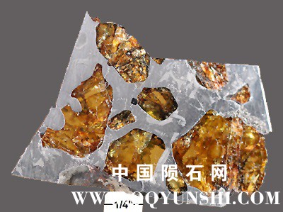 tm1253-A.jpg