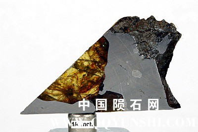 tm1254-A.jpg