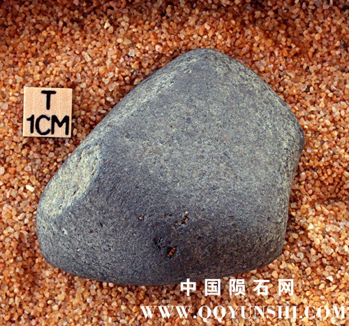 tm1275-B.jpg