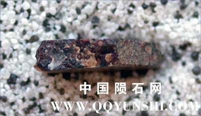 tm1290-C.jpg