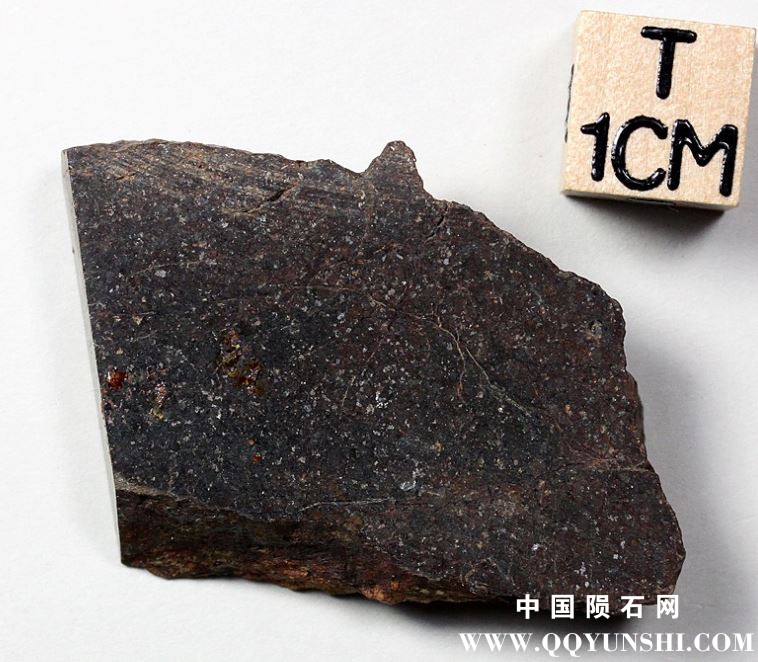 tm1304-B.jpg