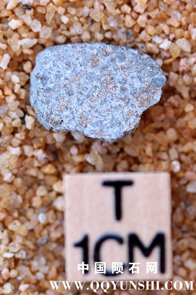 tm1261-A.jpg