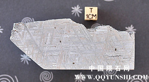 tm1271-B.jpg