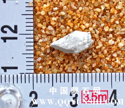 tm1225-A.jpg