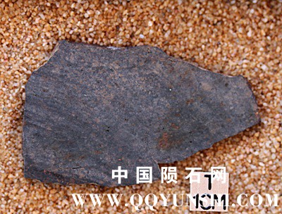 tm1262-B.jpg