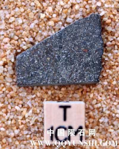 tm1260-A.jpg