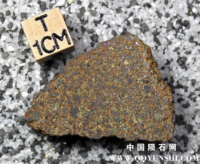 tm1301-A.jpg